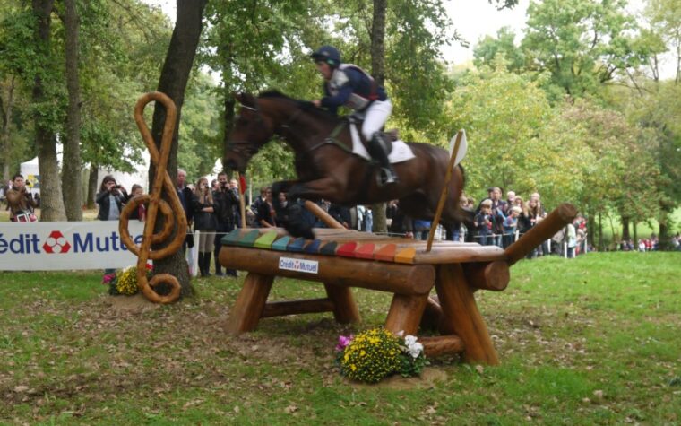 Cavalier et cheval franchissant un obstacle de cross au Mondial du Lion devant le public